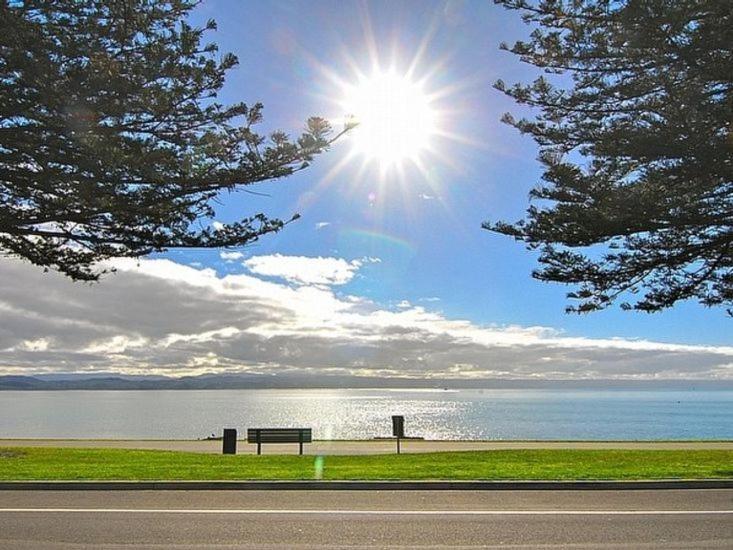 Beach House Studios Napier Exteriér fotografie